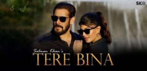 Tere Bina Guitar Tabs - Salman Khan