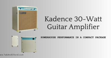 Kadence 30 watts High-Performance 30-Watt Guitar Amplifier