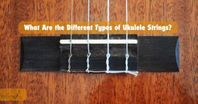 What Are the Different Types of Ukulele Strings